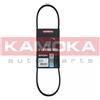 KAMOKA Cinghia Poly-V KAMOKA 7013007