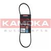 KAMOKA Cinghia Poly-V KAMOKA 7013008