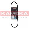 KAMOKA Cinghia Poly-V KAMOKA 7013005