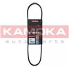 KAMOKA Cinghia Poly-V KAMOKA 7013011