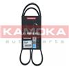 KAMOKA Cinghia Poly-V KAMOKA 7014068