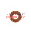 FAST Anello tenuta, Portainiettore FAST FT49847