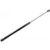 VAICO Ammortizzatore pneumatico, Cofano motore VAICO V24-0201
