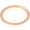 ENGITECH Guarnizione, Portapolverizzatore ENGITECH ENT250242/1