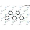 Dr.Motor Automotive Anello di tenuta, vite di scarico olio Dr.Motor Automotive DRM01371R
