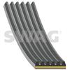 SWAG Cinghia Poly-V SWAG 33 10 8870