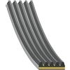 FEBI BILSTEIN Cinghia Poly-V FEBI BILSTEIN 183299