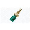 MAGNETI MARELLI Sensore, temperatura refrigerante MAGNETI MARELLI 171916011170