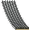 FEBI BILSTEIN Cinghia Poly-V FEBI BILSTEIN 184943