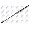 NTY Ammortizzatore pneumatico, Cofano motore NTY AE-FT-037