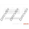 Dr!ve+ Filtro aria Dr!ve+ DP1110.10.0073