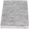 KAVO PARTS Filtro, Aria abitacolo KAVO PARTS FCA-10028C