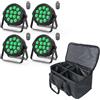 HOLDLAMP 4 faretti LED Par con borsa, 14X6W LED per palcoscenico RGBW 4 in 1,