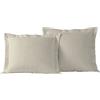TodaysHome Today Home Basic Cotton Rich Tailored Sham con Flangia 5,1 cm 2, Ivory, Standard