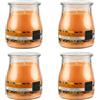 H HANSEL HOME Set de 4 Candele Profumate Frutta Tropicale, Candele Profumate in Vetro, 24 Ore di Combustione