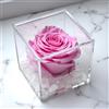 Passionefiori.it Premium-Rose Cubo Rosa Stabilizzata 10cm Vera in Cubo più Spesso, Con Marmo di Carrara, Cubo Rosa stabilizzata, Rosa eterna, Idea Regalo per lei, Natale (Rosa, 10cm)