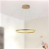 LAMPLAY Lampada A Sospensione Moderna A LED Rotonda, 1 Lampadario Ad Anello D'oro, Dimmerabile Con Telecomando 3000K-6000K Lampada Da Soffitto, Altezza Regolabile, Soggiorno Camera Da Letto(Ø40cm)