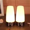 WRalwaysLX 2 Pack Retro LED Luce notturna per la casa, a batteria piccola lampada con sensore di movimento PIR LED wireless interno/esterno per camera da letto,corridoio,cucina