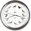 KOOKOO Singvögel RC cromo, Orologio con 12 uccelli canterini autoctoni e richiami naturali, con movimento al quarzo radiocontrollato RC