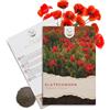HAPPY SEED Semi di papavero comune (Papaver rhoeas) - Bellissimi papaveri dalla lunga fioritura per un prato fiorito colorato (rosso)