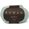 Rowan Lana grande, filo interdentale (097), 100 g