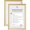 walther design Trendstyle KP130GD - Cornice portafoto in plastica, 21 x 29,7 cm, confezione da 2, oro