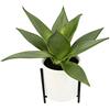 Flair Flower Pianta grasse artificiale in vaso con struttura per piante grasse, foglia spessa, cactus, aloe vera, pianta verde, pianta artificiale Sansevieria artificiale in vaso Yucca decorativa Kalanchoe.