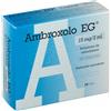 Eg Spa Ambroxolo Soluzione Da Nebulizzare 15 Mg Per 2 Ml 10 Fiale