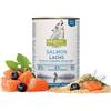 Isegrim wild Salmone 400g umido cane 400g