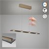 Fischer & Honsel Torvi lampada a sospensione, LED, 4 luci, 61185, Torvi [Lampade per Interni > Lampade a Sospensione]