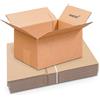 Master'in - Scatola di cartone singola scanalatura - marrone - 310 x 220 x 150 mm - Confezione da 20 casse