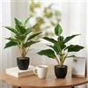 Ziyonix 2 Pezzi Piante Finte da Interno in Vaso, 41CM Piante Artificiali Come Vere Piantine Finte Decorative per Matrimoni Cucina Ufficio Soggiorno