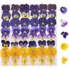Luxorium 48 pezzi fiori di te naturali pressati - mix decorativo di viole del pensiero - DIY, hobby creativi, decorazione