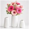 Ordeluxe Set Ceramica, Vaso Ceramica Decorativo per Fiori, Bianco Corto Alto Vasi Moderni Fiori Secchi Decorativi