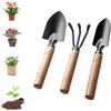 Ruayia Set di attrezzi da giardino, 3 pezzi, mini attrezzi da giardino, paletta da giardino, manico in legno, pala maneggevole, piccola pala per attrezzi bonsai, pianta fiori in vaso, terreno sciolto