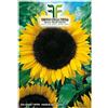 Tesoro della Terra Sementi Semi In Busta Girasole Gigante Helianthus Annuus Giardinaggio Coltivazione Fiori