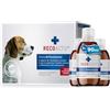 RECOACTIV Tonico Articolazioni per cani, 3 x 90 ml, integratore alimentare in caso di patologie degenerative delle articolazioni, con cozza verde della Nuova Zelanda e glucosamina