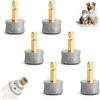 GZRXIOUS 6 PCS Testine di Ricambio per Lima Unghie Cane Testina Lima Unghie Cane con Rivestimento Diamantato Compatibile Casfuy N10 N20 N30 Accessorio per Tagliaunghie Elettrico Cane e Gatto 80 Mesh
