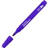 RAYLU PAPER Pennarelli permanenti con punta da 2 mm, pennarello permanente resistente all'acqua e allo sbiadimento ad asciugatura rapida, ideale per carta, plastica, metallo e tessuto (1, Viola)