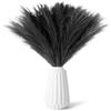 Wekuw 30 Pezzi Pampas Decorative,Piume Decorative Fiori Secchi Decorativi,Piume Decorative per Vaso,Fiori Secchi Decorativi per Vaso per Arredamento Casa Arredamento Boho Matrimonio (Nero)
