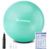 flintronic 65cm Palla Fitness, Anti-Scoppio e Stabilità, con Pompa, Strumento Tappo Pompa, E Manuale per Ginnastica, Yoga, Esercizi di Equilibrio, Allenamento, Fitness