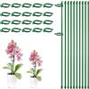 LONZIKP 10 Pezzi Supporto per Piante Regolabili, Pali di Sostegno per Piante, Interno con 20 Clip Fisse e Clip Collegamento Tubis, Rampicanti e Bastoncini Orchidee, per Orchidee Pomodori (30 cm)
