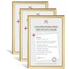 walther design Trendstyle KP130G3 - Cornice portafoto in plastica, 21 x 29,7 cm, confezione da 3, oro