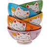lachineuse Bols., Chat Japonais