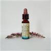 Laboratorio Erboristico Di Leo FIORI DI BACH 1 AGRIMONY 10 ML DI LEO