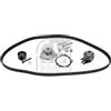 FEBI BILSTEIN FEBI Pompa acqua + Kit cinghie dentate FIAT OPEL VAUXHALL 2,0 1,9 55183528 D20AA