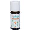 Puressentiel Zenzero Olio Essenziale Bio 5 ml essenziale