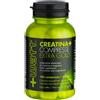 +WATT Creatina+ Compresse Extra Gold 100 compresse
