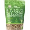 ISWARI Risveglio di Buddha Proteine della canapa 360 grammi
