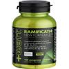 +WATT Ramificati+ Vitamin B Loading Advanced Formula 100 compresse